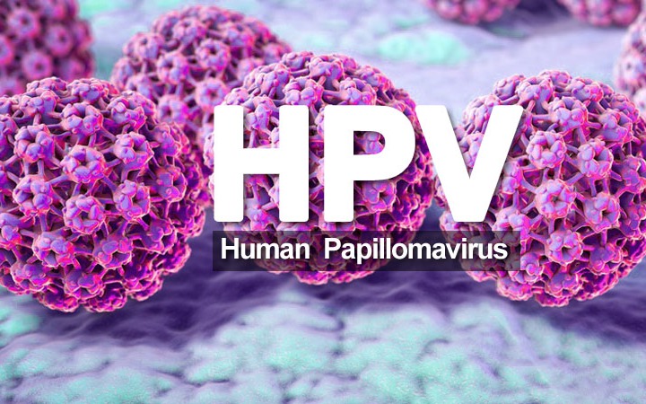 HPV có gây ung thư dương vật không?