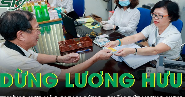 6 trường hợp dễ bị dừng hoặc cắt lương hưu, người dân cần lưu ý