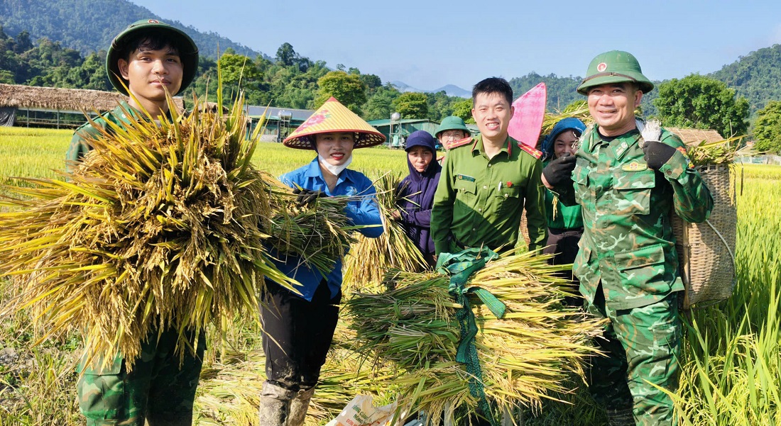 Công an, bộ đội dầm mưa giúp dân cứu lúa sau dông lốc ở Nghệ An
- Ảnh 1.