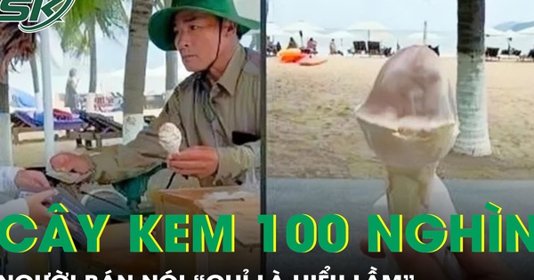 Người bán cây kem giá 100.000 đồng ở Nha Trang nói ‘chỉ là hiểu nhầm’, công an xác định có vi phạm