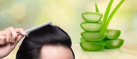 3 tác dụng của gel lô hội đối với tóc và da đầu- Ảnh 1.