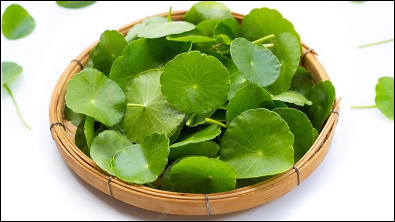6 vị thuốc quen thuộc giúp mát gan trong ngày nắng nóng- Ảnh 1.
