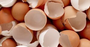 Vỏ trứng có tác dụng gì?