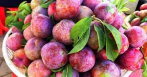 11 lợi ích sức khỏe của quả mận ít người biết