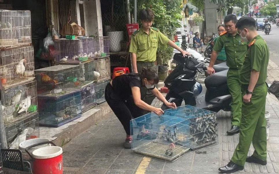 Hơn 300 người tìm kiếm nạn nhân mất tích khi đi hái dược liệu trong rừng ở Tuyên Quang- Ảnh 2.