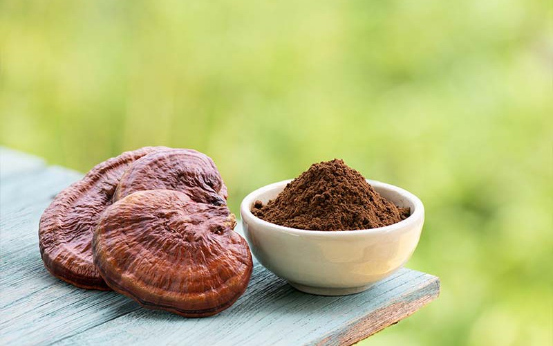 Ai không nên dùng nấm linh chi?