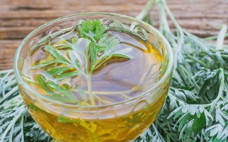 3 cách sử dụng ngải cứu làm sáng da hiệu quả tại nhà