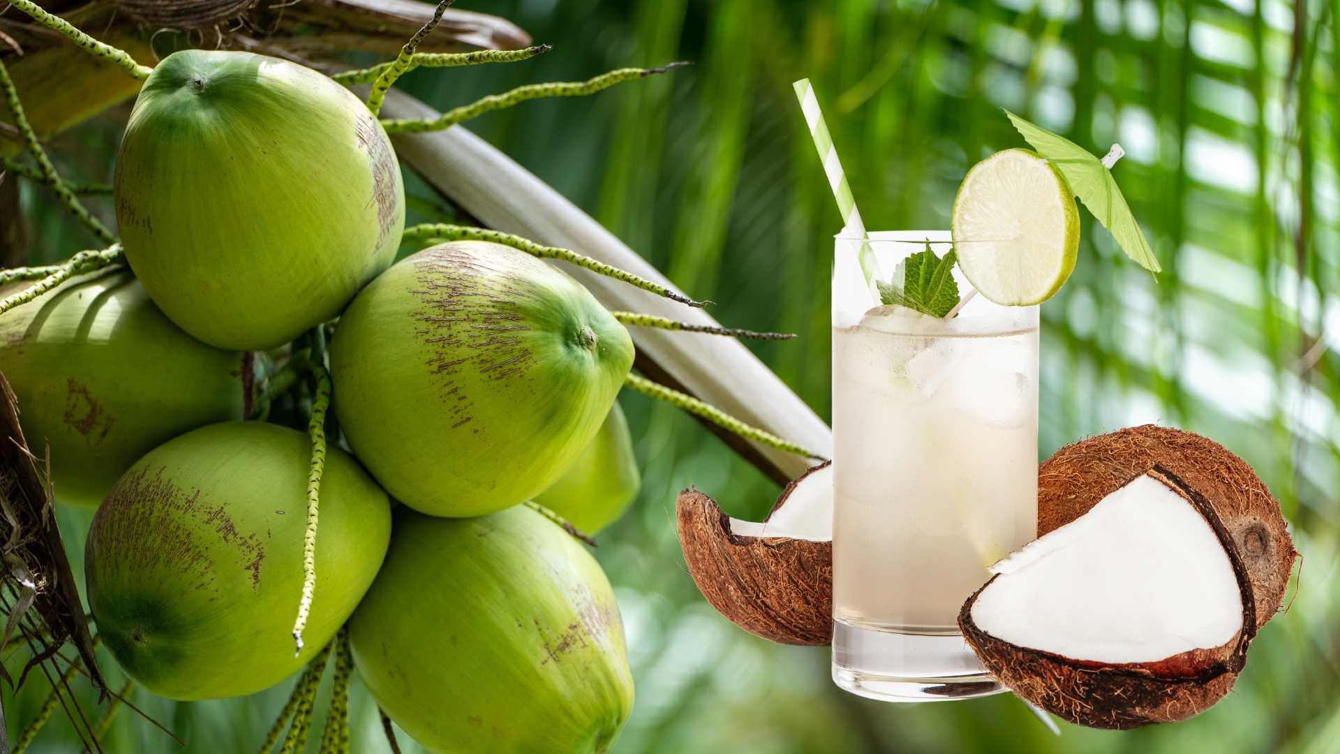 8 thức uống lành mạnh giúp bổ sung nước, bảo vệ sức khỏe trong ngày hè- Ảnh 1.
