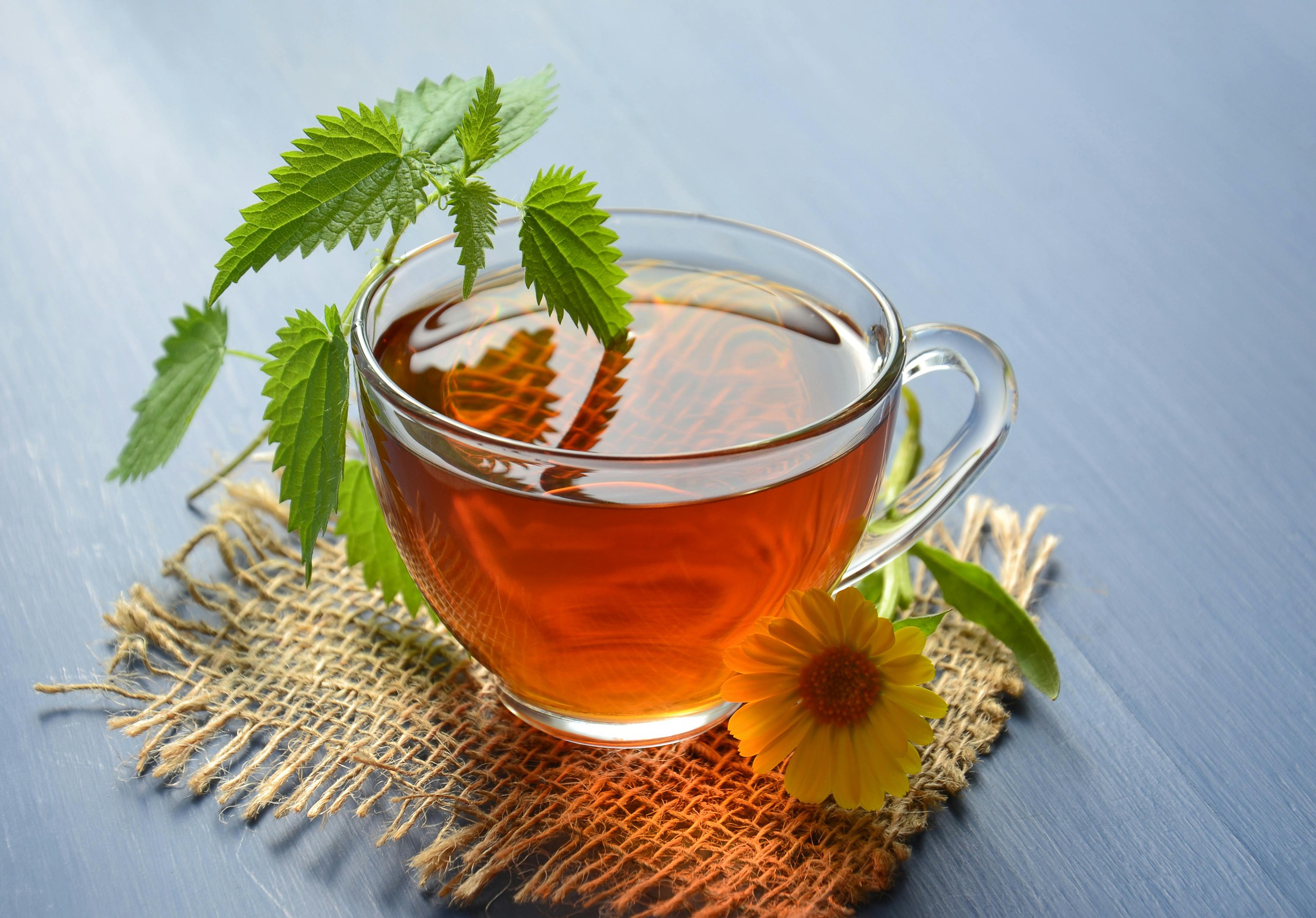 5 thức uống giúp 'nhẹ bụng' hơn mỗi ngày theo lời khuyên của bác sĩ tiêu hóa- Ảnh 3.