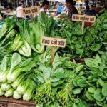 5 loại rau nên ăn trước bữa chính để giảm cân hiệu quả