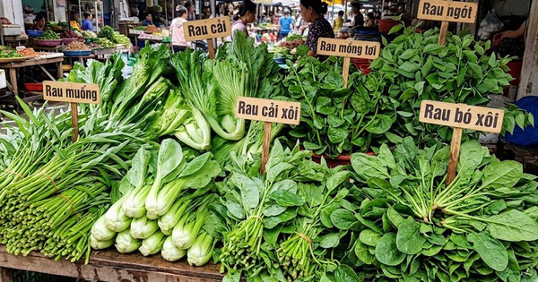 5 loại rau nên ăn trước bữa chính để giảm cân hiệu quả