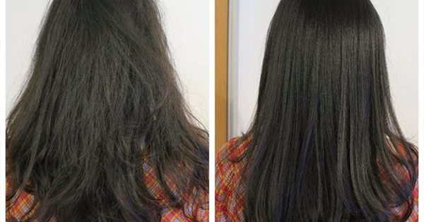 Mỡ lợn phục hồi tóc khô xơ và kích thích mọc tóc