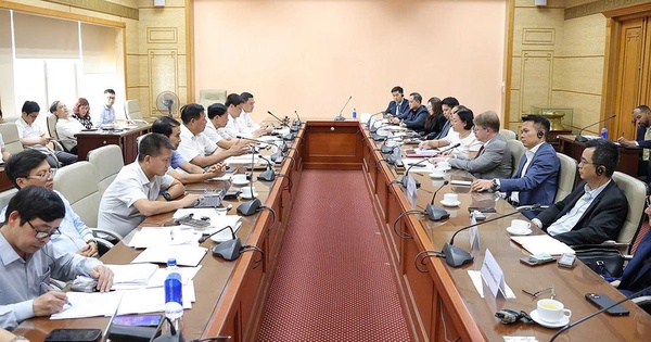 Bộ Y tế và đoàn doanh nghiệp Hoa Kỳ trao đổi, thúc đẩy quan hệ hợp tác, đầu tư về y tế