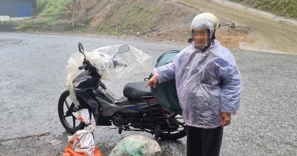 Khởi tố vụ mua bán trái phép 1 cá thể rắn hổ chúa