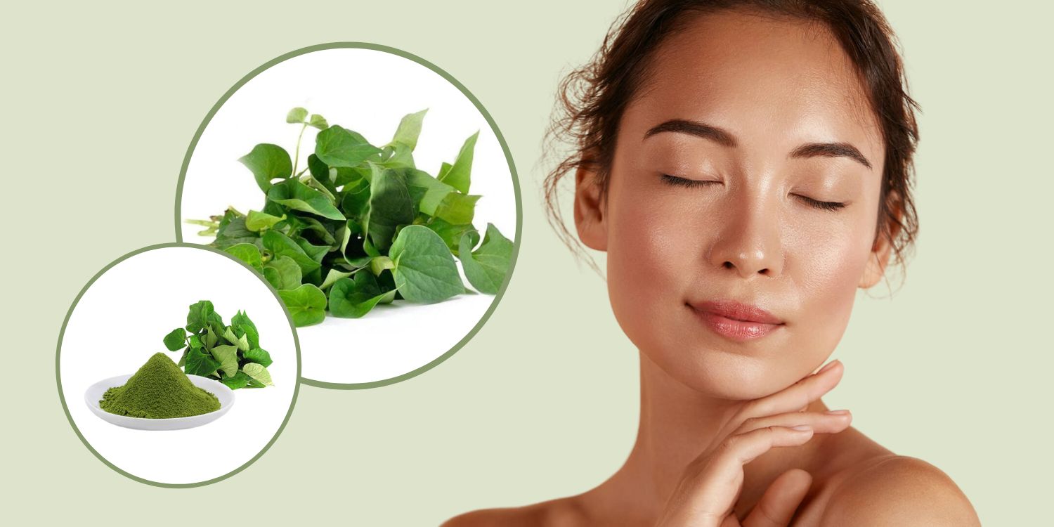 Rau má có hỗ trợ trị mụn trứng cá không?- Ảnh 1.