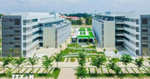 Thành lập phân hiệu, sáp nhập một số trường cao đẳng vào đại học