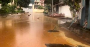 Sét đánh thúng bể chứa nhà máy đường, hàng ngàn tấn mật mía tràn ra ngoài