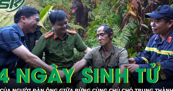 Người đàn ông kể về ‘4 ngày sinh tử’ lạc trong rừng cùng chú chó trung thành