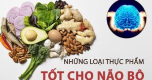 Các chất bổ sung cải thiện trí nhớ trong mùa thi: Hiểu đúng để dùng hiệu quả