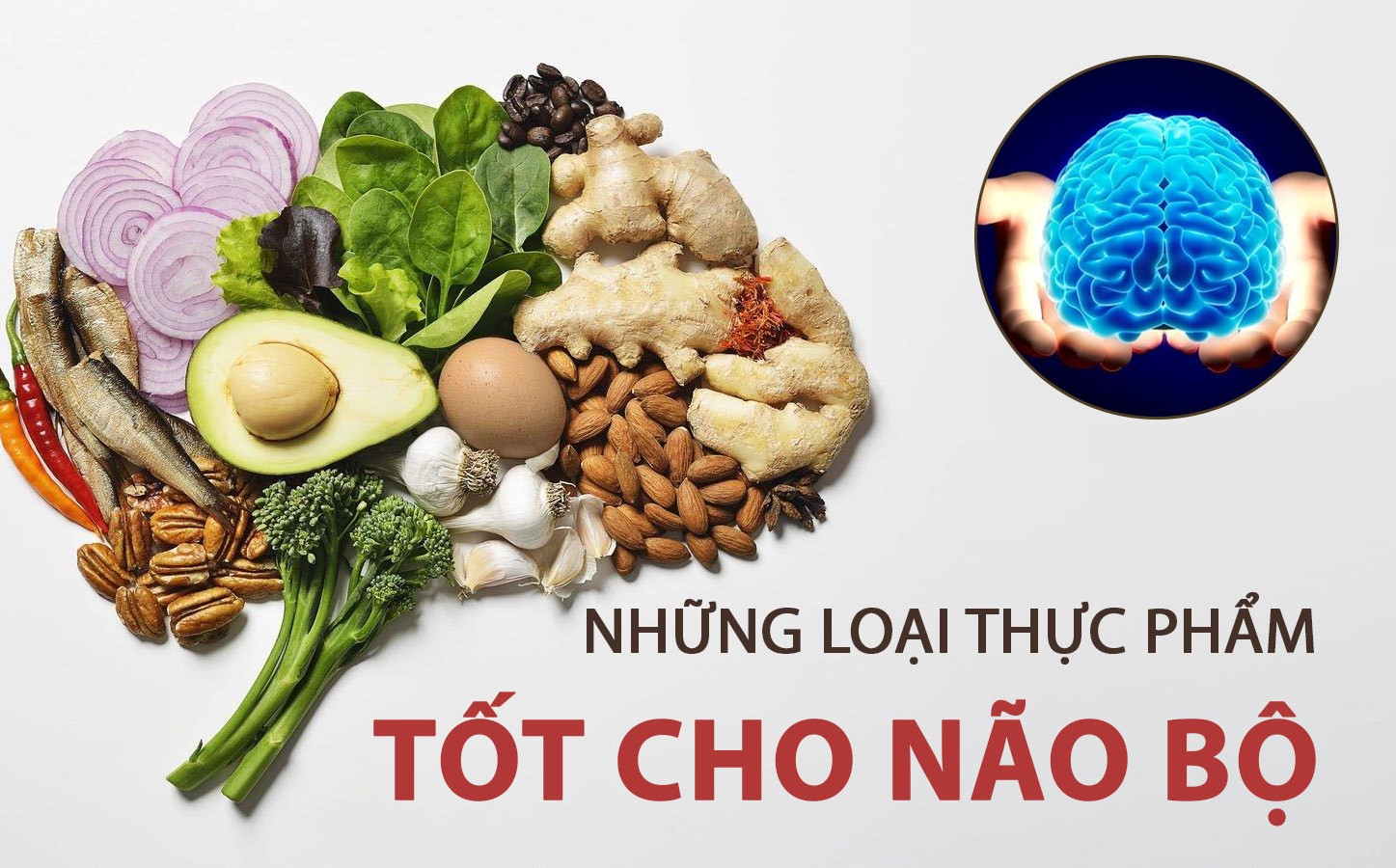Các chất bổ sung cải thiện trí nhớ trong mùa thi: Hiểu đúng để dùng hiệu quả- Ảnh 3.