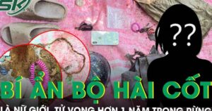 Bí ẩn bộ hài cốt trong rừng Sơn Trà: Nữ giới tử vong hơn 1 năm, không giấy tờ