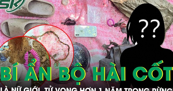 Bí ẩn bộ hài cốt trong rừng Sơn Trà: Nữ giới tử vong hơn 1 năm, không giấy tờ