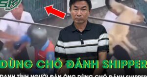 Danh tính người đàn ông dùng chó đánh shipper chảy máu mũi ở TPHCM, lời khai hé lộ nguyên nhân