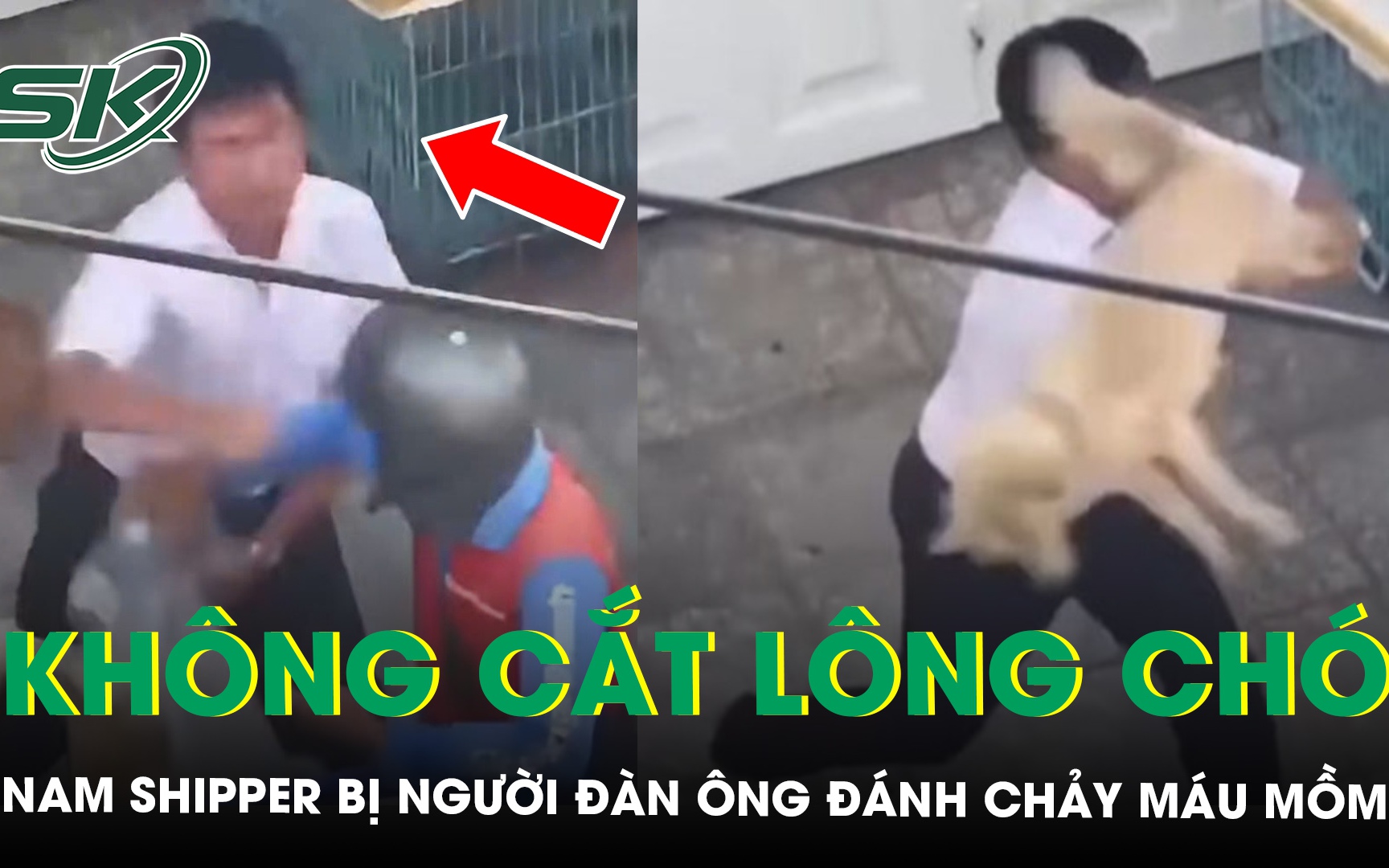 Từ chối cắt lông chó, nam shipper bị người đàn ông đánh chảy máu miệng ở TPHCM