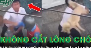 Từ chối cắt lông chó, nam shipper bị người đàn ông đánh chảy máu miệng ở TPHCM