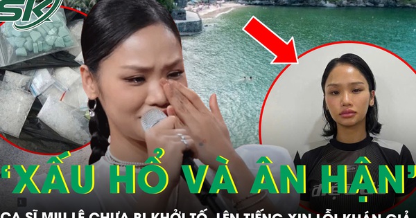 Ca sĩ Miu Lê chưa bị khởi tố trong vụ án dùng ma túy ở đảo Cát Bà, lên tiếng xin lỗi khán giả