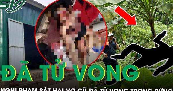 Nghi phạm sát hại vợ cũ đã tử vong trong rừng sau lời nhắn ‘nguyện chết cùng ngày’
