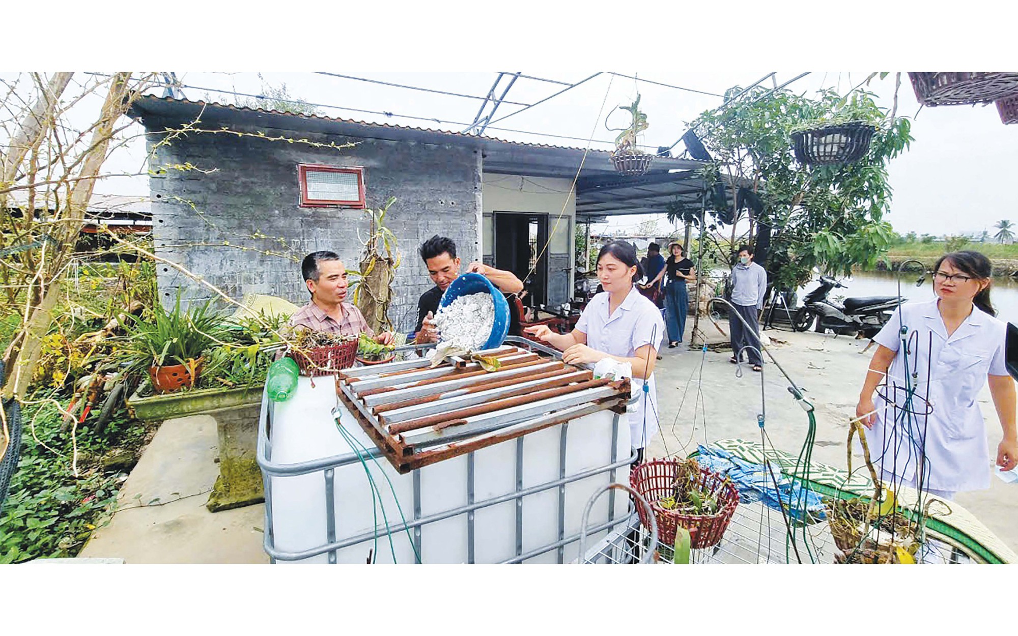 Bộ Y tế: Các tỉnh, thành phố đảm bảo nước sạch, vệ sinh môi trường, phòng chống dịch mùa mưa lũ 2026