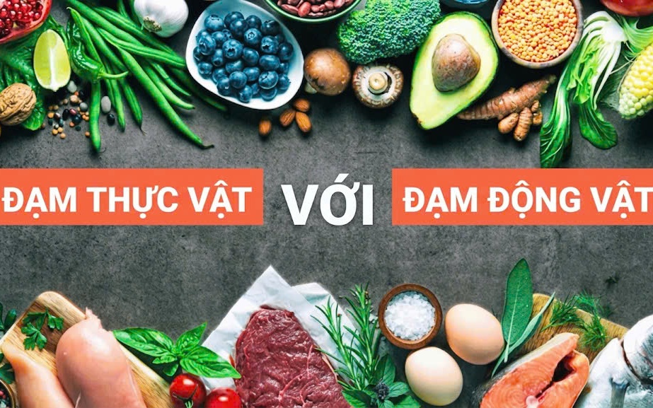 Protein từ động vật hay thực vật tốt hơn cho sức khỏe người cao tuổi?