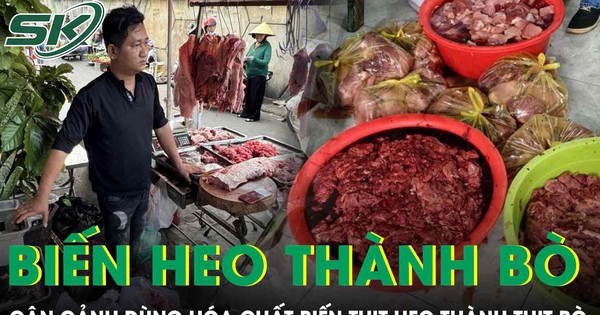 Cận cảnh quy trình dùng hóa chất ‘biến’ 65 tấn thịt heo thành thịt bò ở TP.HCM
