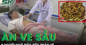 Ăn ve sầu, 9 người bị ngộ độc sốc phản vệ