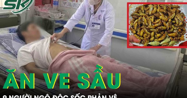 Ăn ve sầu, 9 người bị ngộ độc sốc phản vệ