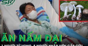1 người tử vong, 5 người cấp cứu sau khi ăn canh nấm