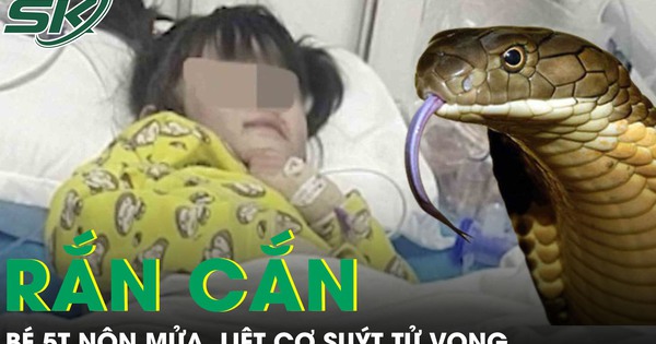 Rắn cắn khi đang ngủ, bé gái 5 tuổi nôn mửa, liệt cơ suýt tử vong