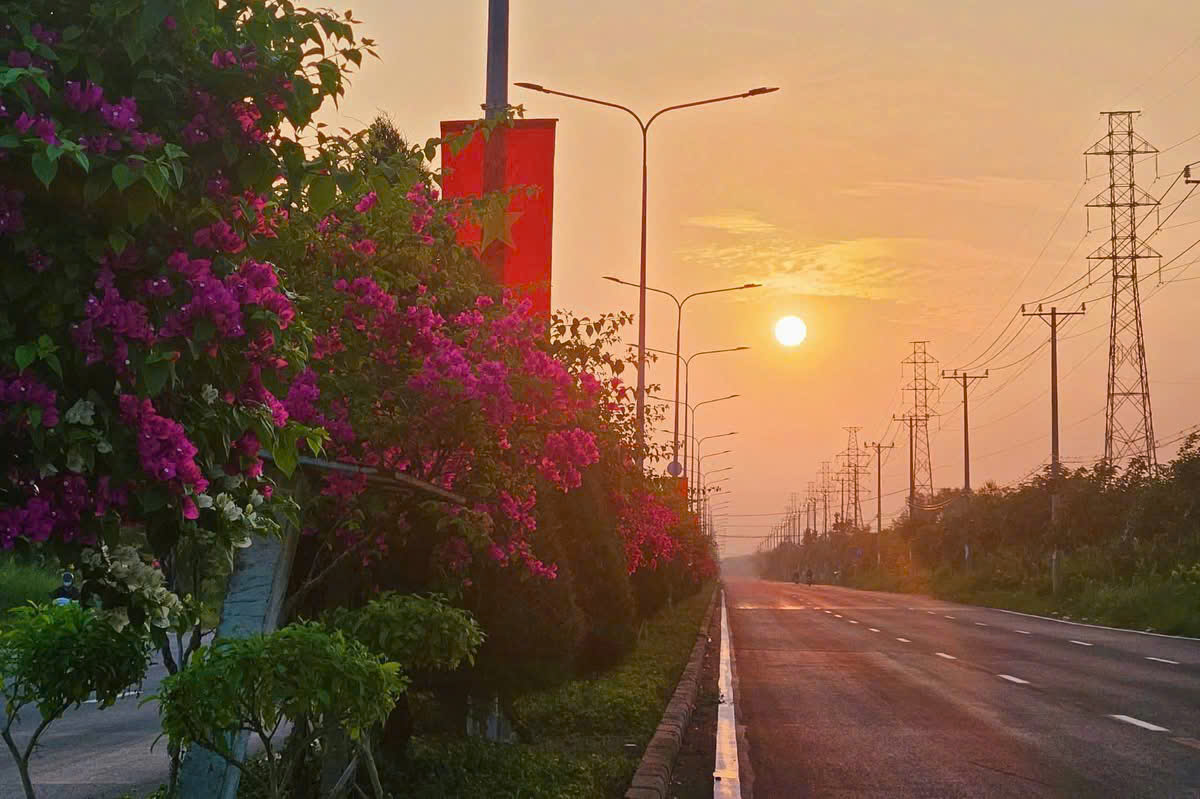 Cận cảnh cung đường xuyên rừng ngập mặn đẹp nhất TPHCM được nâng cấp lên 10 làn xe- Ảnh 9.