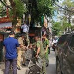 Ra quân duy trì trật tự đô thị: Đường thông hè thoáng, người dân tự giác chấp hành