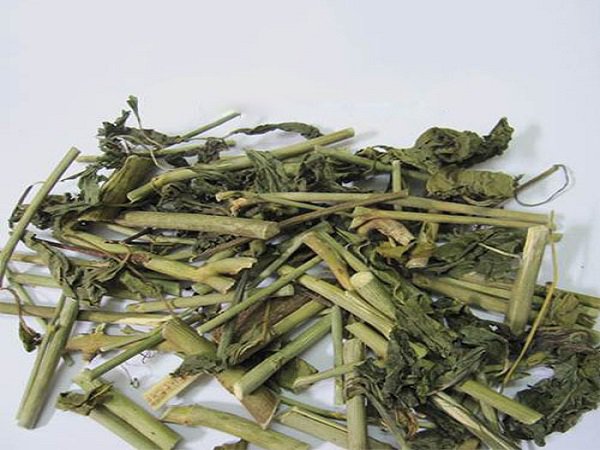 6 lợi ích sức khỏe của cây xương khỉ- Ảnh 2.