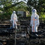 Hiểm họa mới bất ngờ ập xuống các trung tâm điều trị Ebola tại CHDC Congo