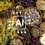 AI mở đường cho y học cổ truyền bước vào kỷ nguyên số