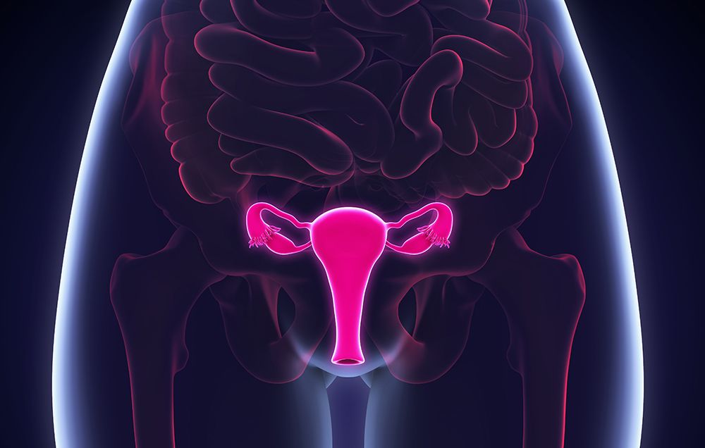 Ngoài ung thư cổ tử cung, HPV có thể gây loại ung thư nào khác?- Ảnh 1.