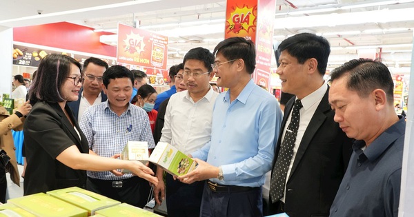 Nghệ An lập tổ liên ngành chống xâm phạm quyền sở hữu trí tuệ