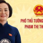 Phó Thủ tướng Phạm Thị Thanh Trà làm Trưởng BCĐ quốc gia về phát triển ngành Dược Việt Nam