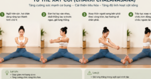 4 tư thế yoga nên tập vào buổi sáng giúp tăng độ dẻo dai, hỗ trợ giảm đau lưng