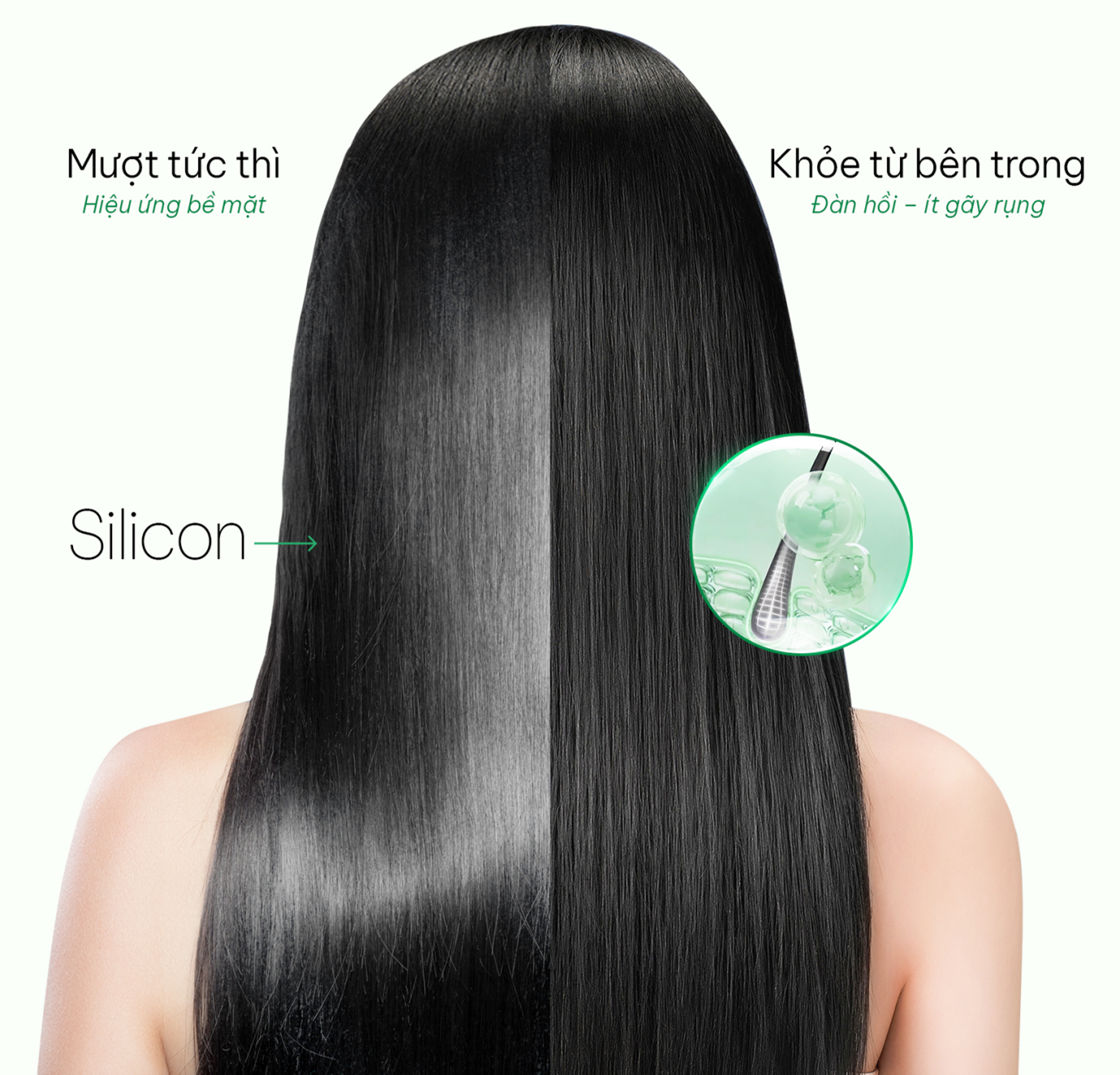 Tóc mượt 'tức thì' hay dày khỏe lâu dài: Sự thật về chứng rụng tóc từ thói quen gội đầu- Ảnh 1. Tóc mượt 'tức thì' hay dày khỏe lâu dài: Sự thật về chứng rụng tóc từ thói quen gội đầu- Ảnh 1.