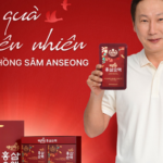 Trợ thủ đắc lực từ thiên nhiên giúp phụ nữ hiện đại xua tan mệt mỏi, bảo vệ sức khỏe gia đình