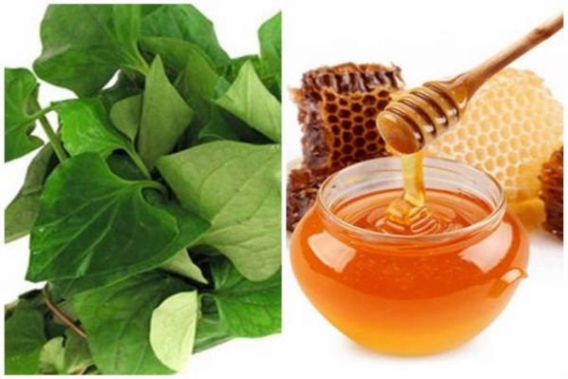5 cách làm mặt nạ rau diếp cá giúp trị mụn, giảm thâm, làm dịu da mùa hè- Ảnh 2.